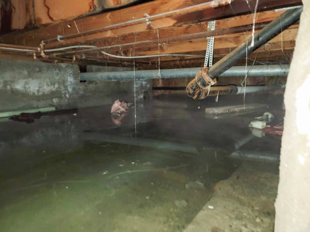 Best Fire Damage Restoration  in Lake Lorelei, OH