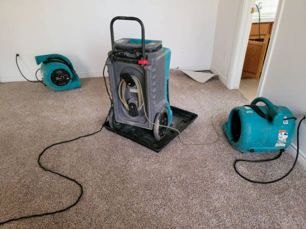 Best Water damage cleanup near me  in Lake Lorelei, OH