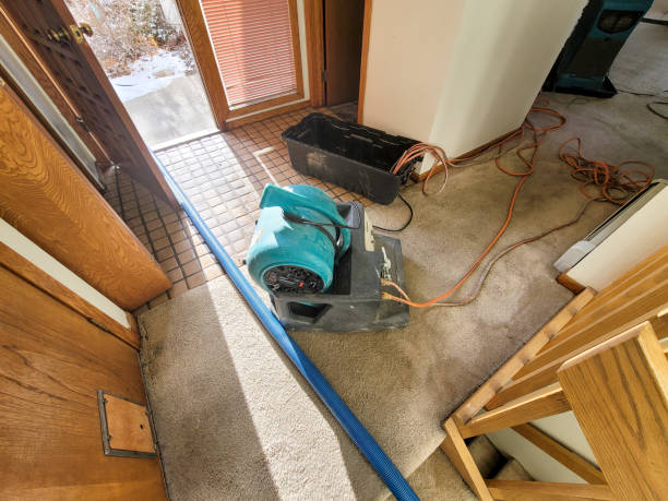 Lake Lorelei, OH Water damage restoration Pros