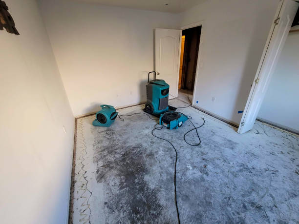 Best Water damage restoration near me  in Lake Lorelei, OH