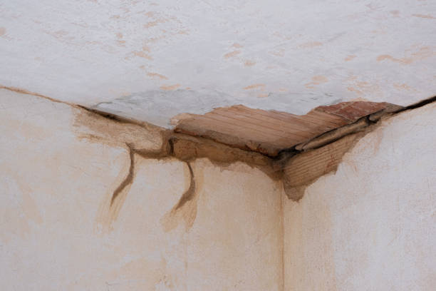 Best Emergency water damage restoration  in Lake Lorelei, OH