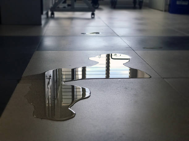Best 24/7 water damage repair  in Lake Lorelei, OH