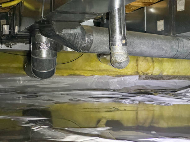 Best Flood damage cleanup  in Lake Lorelei, OH