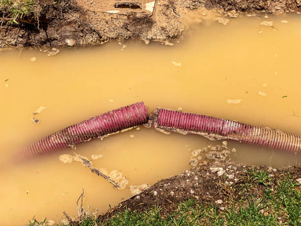 Trusted Lake Lorelei, OH Water damage restoration Experts
