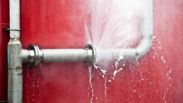 Best Carpet water damage restoration  in Lake Lorelei, OH